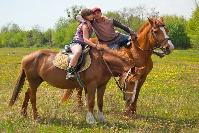 КІННИЙ КЛУБ